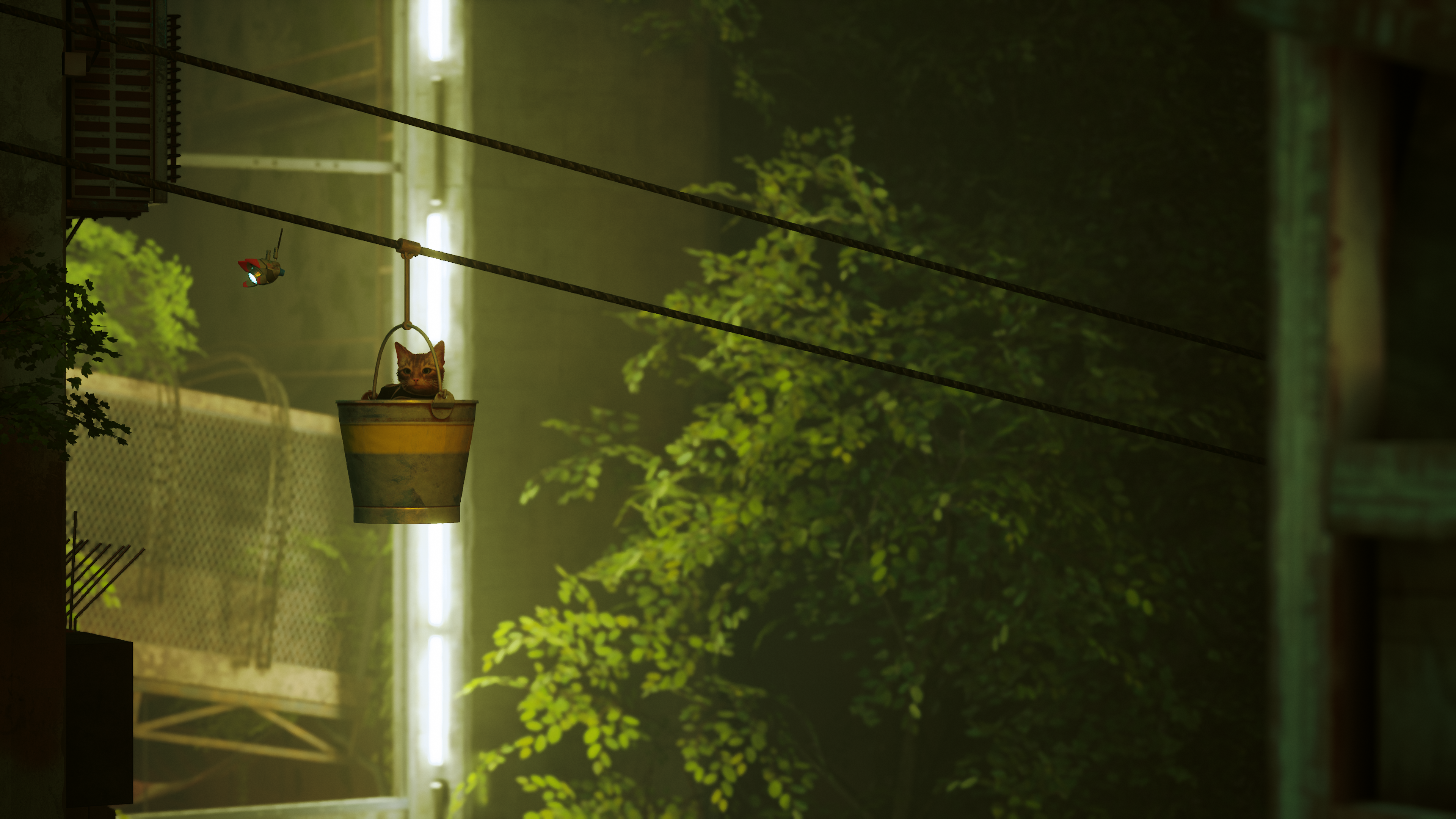 Stray is an attentive tribute to cat-like curiosity